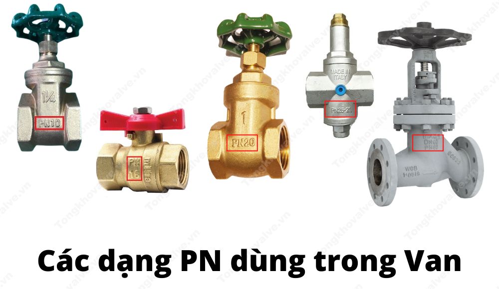 Các loại PN thường được sử dụng ở Việt Nam